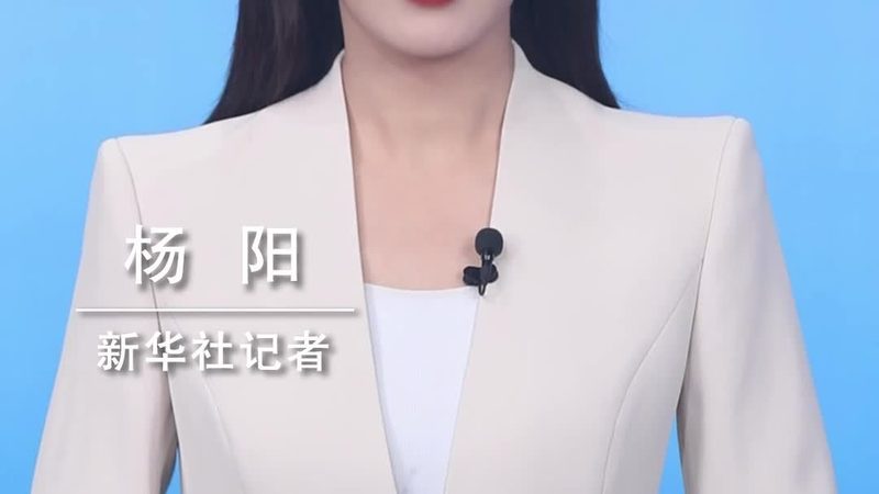 动态图表数据可视化：核心实现与关键要素